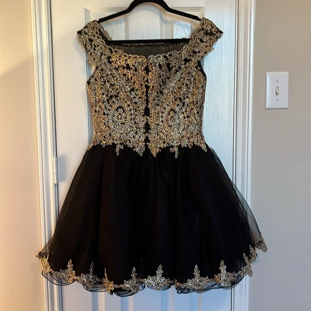 NWT Lenovia Off the shoulder Appliqué Tulle Dress - Picture 7 of 15